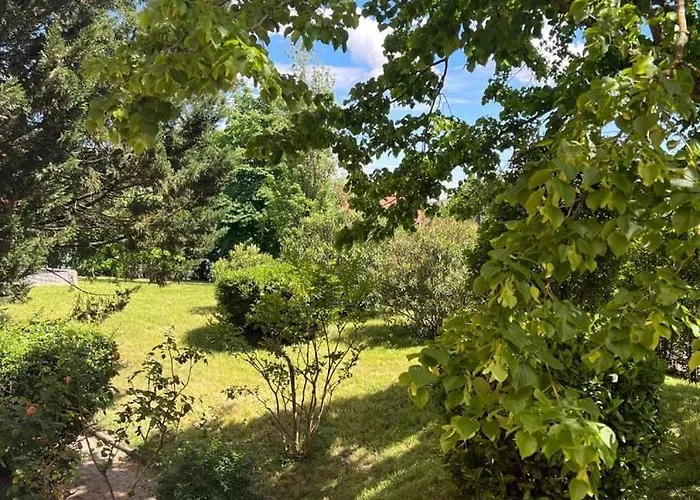 Calme- Cité De L'espace - Côte Pavée *