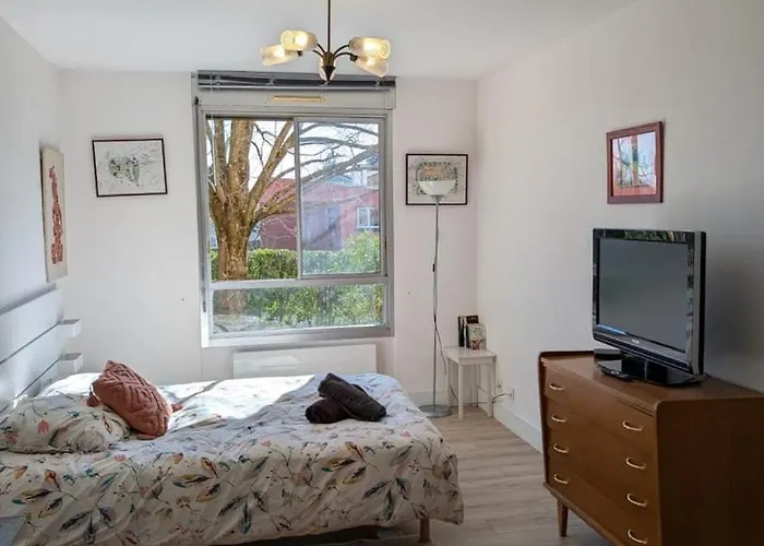 Appartement Calme- Cité De L'espace - Côte Pavée *